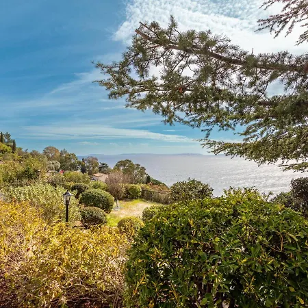Les Floralies Ii-1 By Interhome Lejlighed Le Lavandou